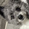 ころ profil fotoğrafı