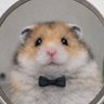 Profilbild von ぼんた
