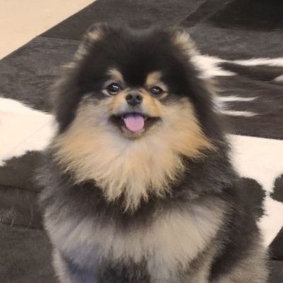 𝐕's profile picture