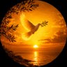 Peacerful 的头像