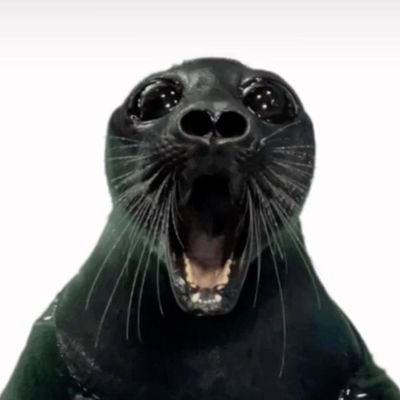 KenethYT23's profile picture