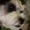 MrBuddha's profile picture