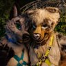 Mutt Hole Surfer ΘΔ 💄🦴🌭🪢 LVFC profil fotoğrafı