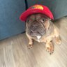Goyster's profile picture
