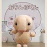 ポンテ・フルボッキオ profil fotoğrafı