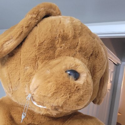 That Plush K9's profile picture