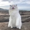 Nash profil fotoğrafı