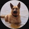 Profilbild von Dosenöffner von Justin / privat 