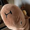 Profilbild von こあ