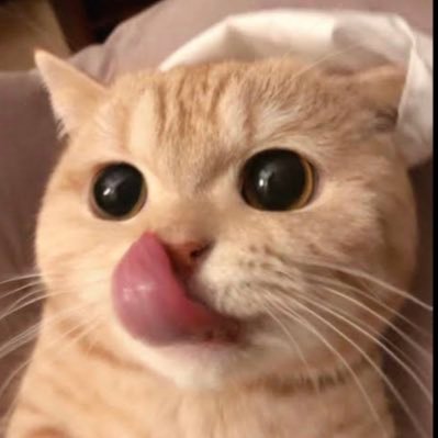 xngww8 (แอคล็อกDM)'s profile picture