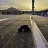Фото профиля معًا