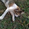 Jevika profil fotoğrafı