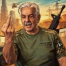 مرشد پاشا's profile picture