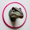 Veloci Raptor's profile picture