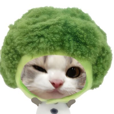 i_Behindyou's profile picture