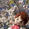 Profilbild von ぱるっこ⁵♡かずふぁむ