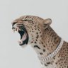 shaka zulu 🦍 profil fotoğrafı