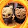 June's profile picture