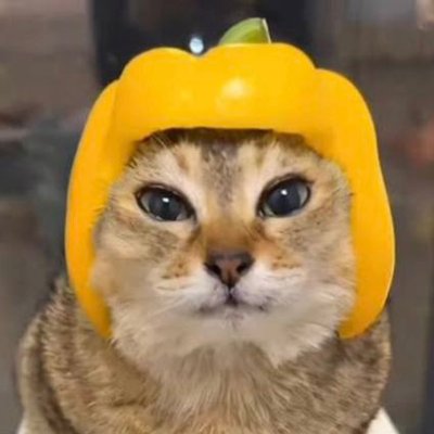 Jay R 🔞's profile picture