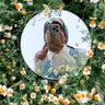 Rahaf ✨🌼's profile picture
