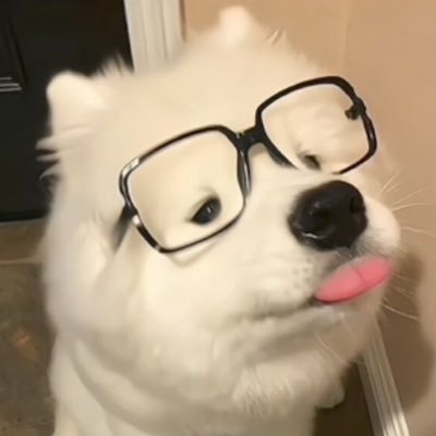 _augusttea's profile picture