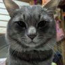 Profilbild von らいや チコリン(みや)