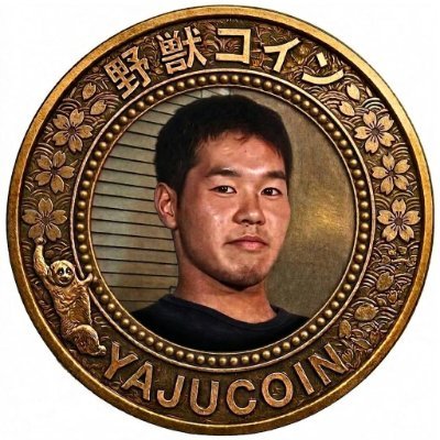 YAJUCoin DEV's profile picture