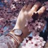Profilbild von مريم فرحات