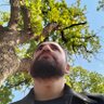 Mohammed's profile picture