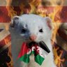 Tom Vlad E. H 🇬🇧 ☦'s profile picture
