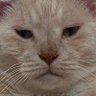 Profilbild von Inhaler AWEB