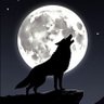 Profilbild von solitarius