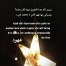 Фото профиля عُـهـود🕊️🤍