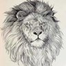 子白的新号's profile picture