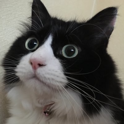 iCryde's profile picture