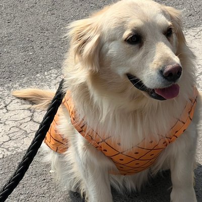 mimilongflg9's profile picture