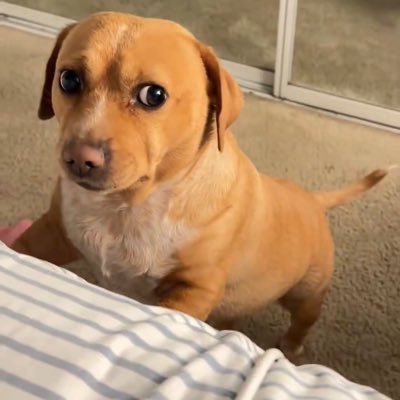 giovanny's profile picture