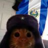 El Comandante ๐ธ๐ป๐บ๐ฒ's profile picture