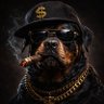 DarkPawsOnly profil fotoğrafı