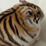 kurono profil fotoğrafı