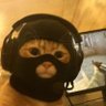 Missael's profile picture
