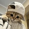 Koteczek Hoteczek🔥😺 profil fotoğrafı