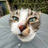 Profilbild von alex
