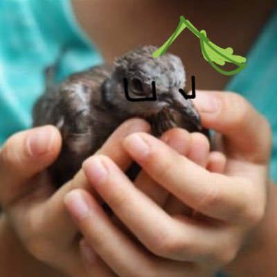 AukkHttps's profile picture