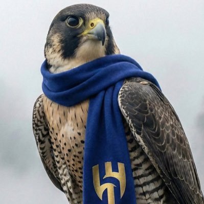 Sss65666's profile picture