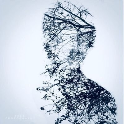 4e_iu's profile picture