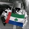 حضرمي صامد⁵⁰⁷..🦅#قضيتي_حضرموت's profile picture