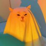 Teddy Bonkers's profile picture