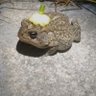 Name cannot be blank.'s profile picture