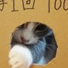 Profilbild von kabukichan_Style